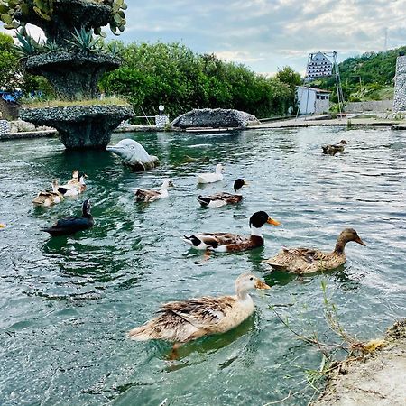 Kompleksi Turistik Dea Mjede Exterior photo
